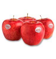 POMA ENVY 4 UNITATS 900G APROX.