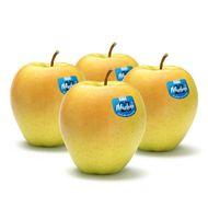 POMA GOLDEN MARLENE 4 UNITATS 1 KG APROX.