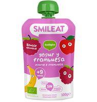 POUCH ECO SMILEAT IOGURT GERDS 100 G