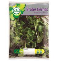 ENSALADA CONDIS BROTES TIERNOS 100 G