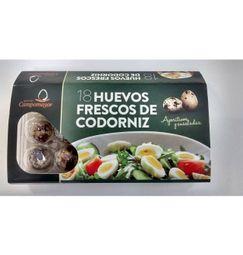 imagen principal del producto