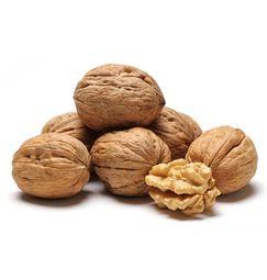 imagen principal del producto