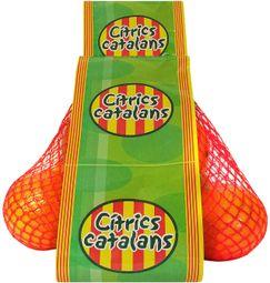 imagen principal del producto