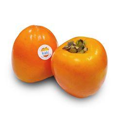 imagen principal del producto