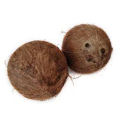 imagen principal del producto