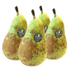 imagen principal del producto