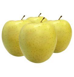 imagen principal del producto