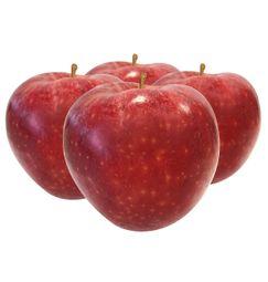 imagen principal del producto