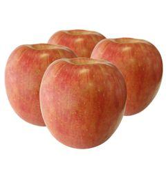 imagen principal del producto