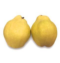 imagen principal del producto