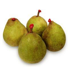 imagen principal del producto