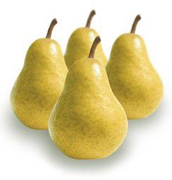 imagen principal del producto