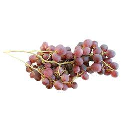 imagen principal del producto