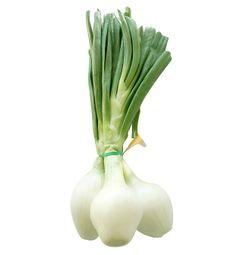 imagen principal del producto