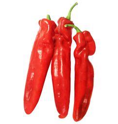 imagen principal del producto