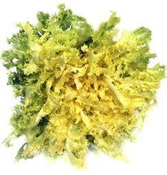 imagen principal del producto