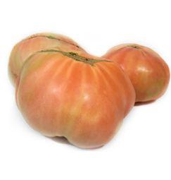 imagen principal del producto