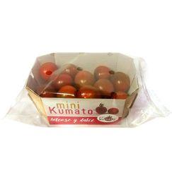 imagen principal del producto