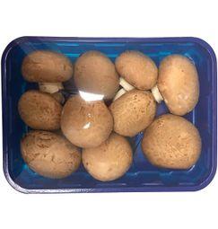 imagen principal del producto