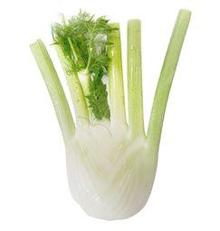 imagen principal del producto