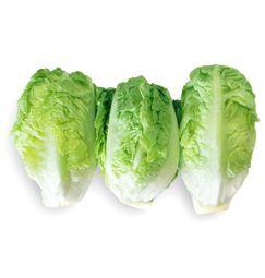 imagen principal del producto