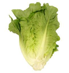 imagen principal del producto