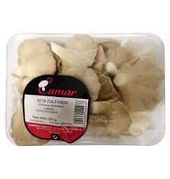 imagen principal del producto