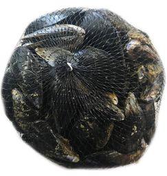 imagen principal del producto