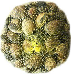 imagen principal del producto