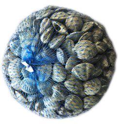 imagen principal del producto