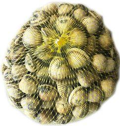 imagen principal del producto