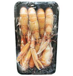 imagen principal del producto