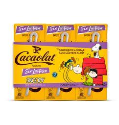 imagen principal del producto