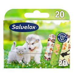 imagen principal del producto