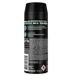 imagen principal del producto