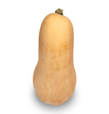 imagen principal del producto