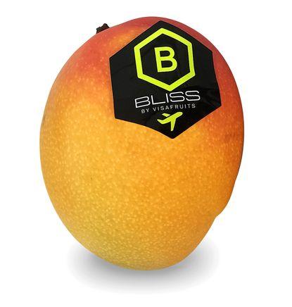 imagen principal del producto