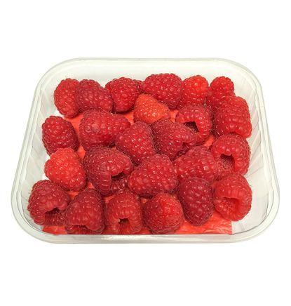 imagen principal del producto