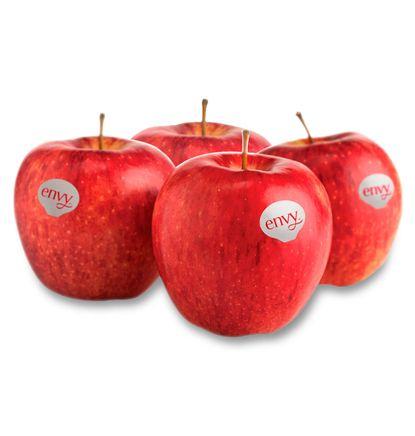 imagen principal del producto