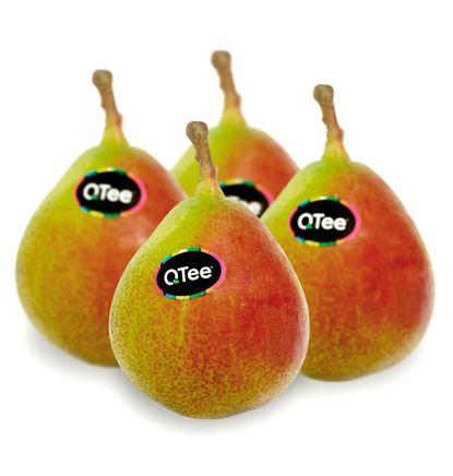 imagen principal del producto