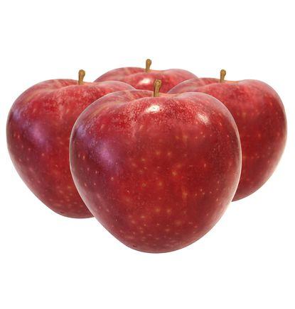 imagen principal del producto