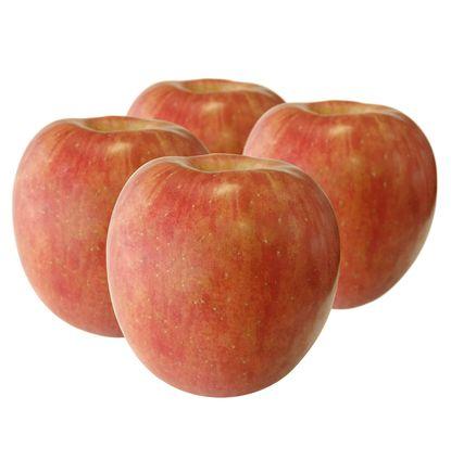 imagen principal del producto