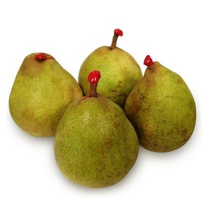 imagen principal del producto