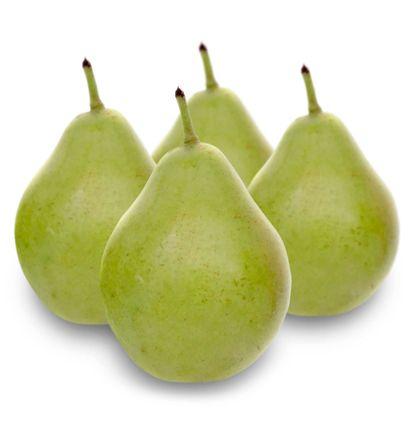 imagen principal del producto