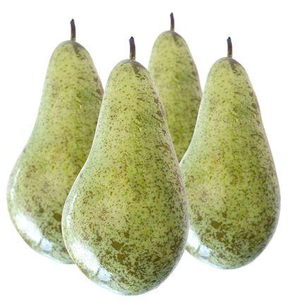 imagen principal del producto