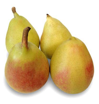 imagen principal del producto