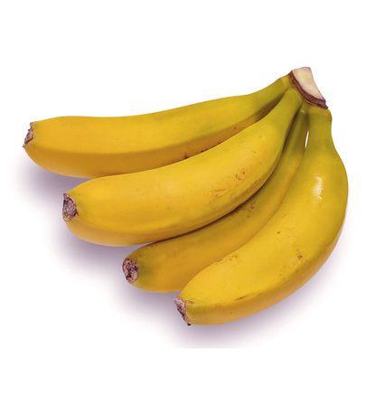 imagen principal del producto