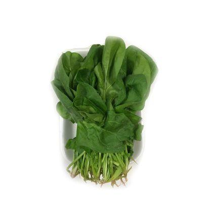 imagen principal del producto