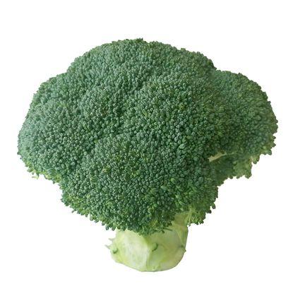 imagen principal del producto