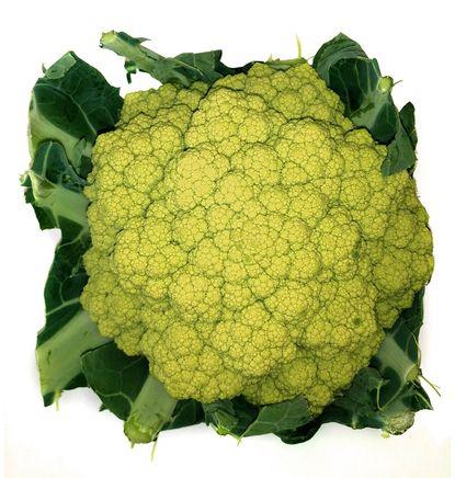 imagen principal del producto